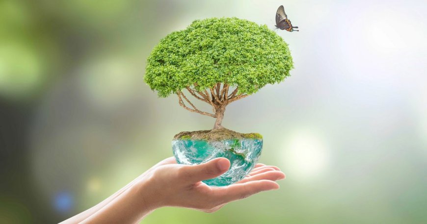 Ekoloji Nedir? Temel Kavramlarıyla Ekoloji