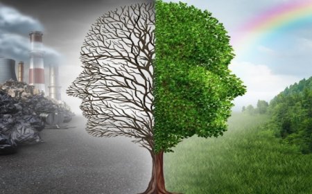 Sürdürülebilir Yaşam Nedir?