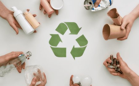 Sürdürülebilir Tüketim Nedir?