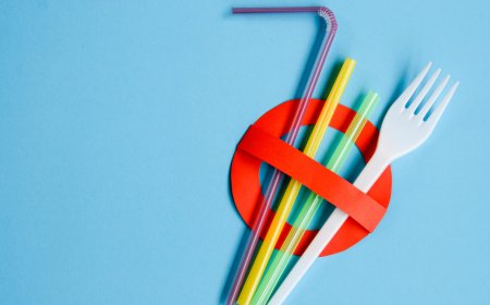 Plastik Tüketimini Azaltmanın Yolları